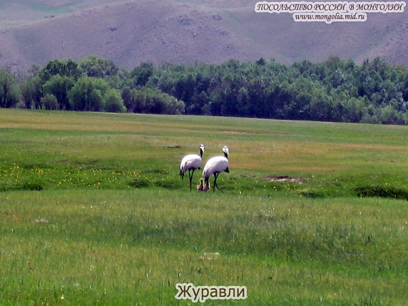 Монголия